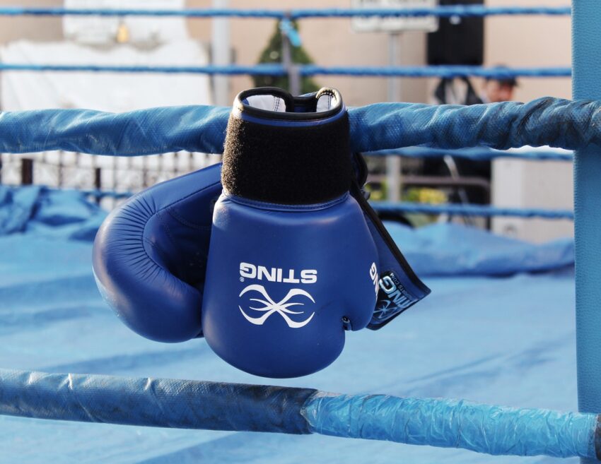 Boxhandschuhe Boxing