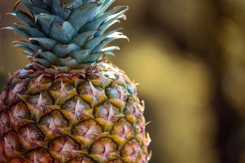 Bromelain Nahrungsergaenzungsmittel Ananas