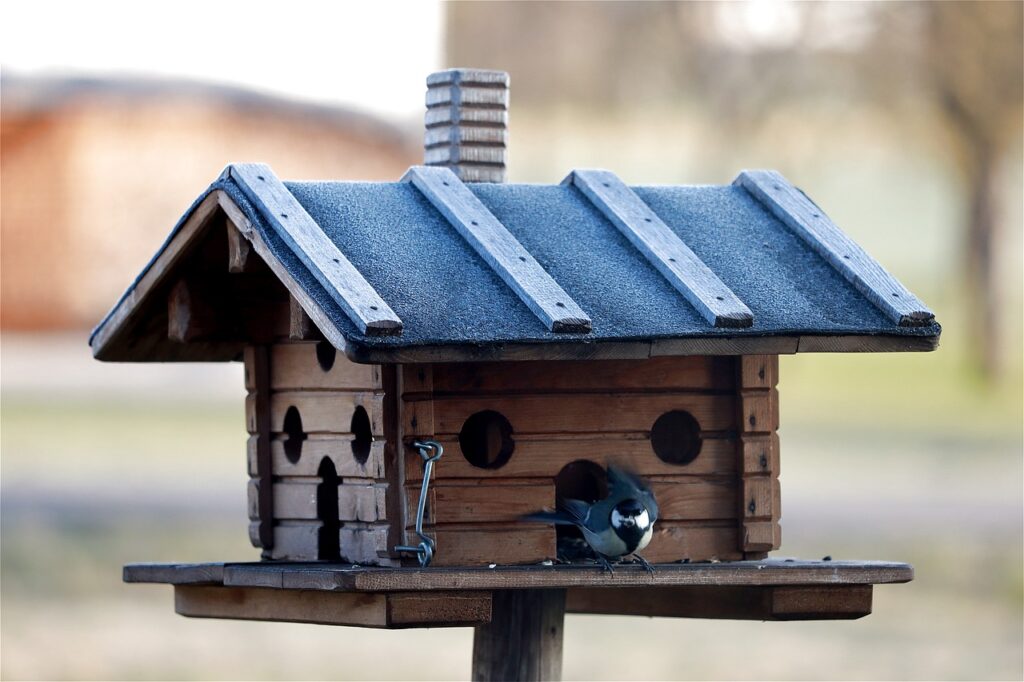 Ein Vogelfutterhaus ist eine ideale Möglichkeit, um unterschiedlichen Vogelarten Futter bereitzustellen.