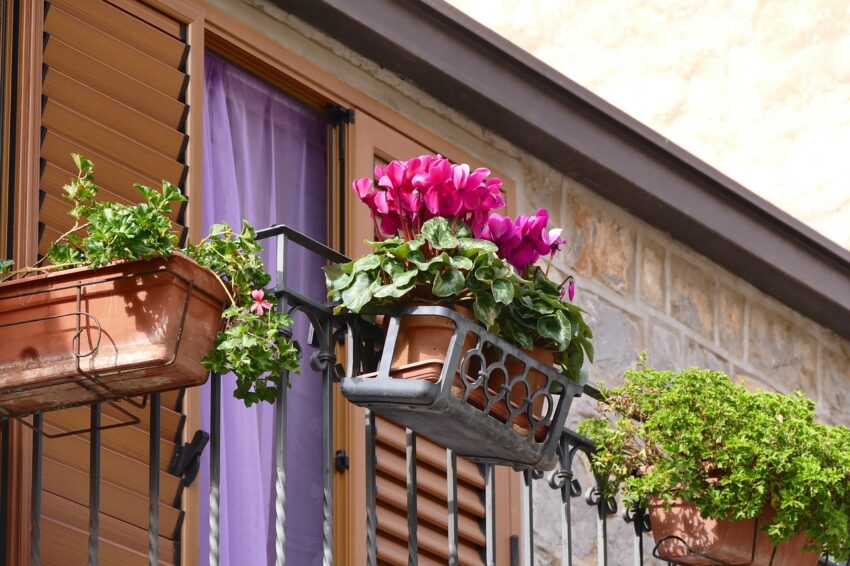 Balkon-Blumenkasten Test