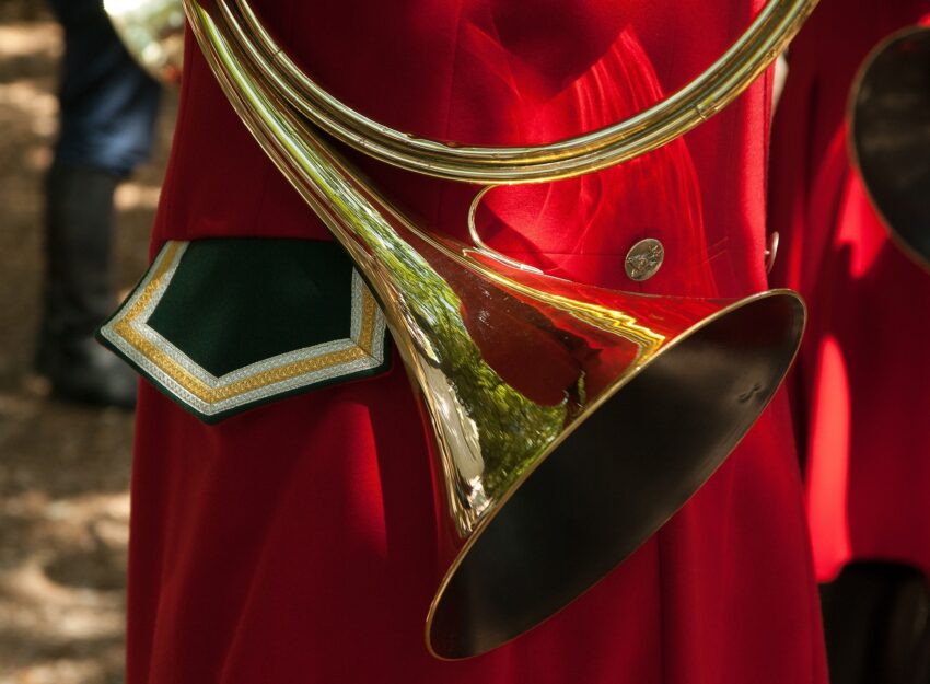 Horn