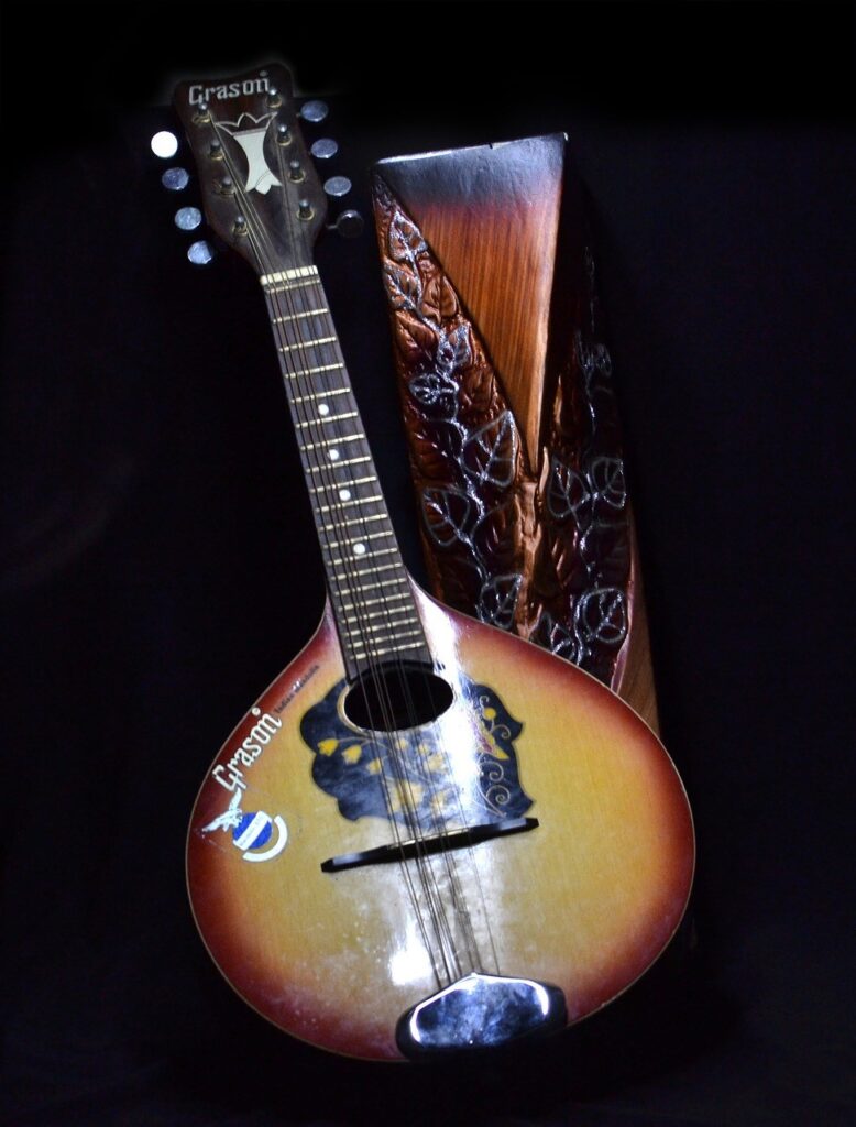 Laute Instrument Optik